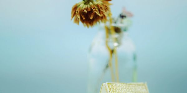 A dried flower in a glass bottle with a book.
