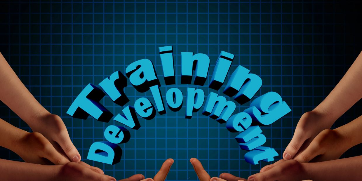 Hands supporting 3D text 'Training Development' on a blue grid background.