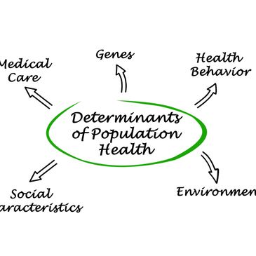 Knowledgeable in evidenced based data analysis, risk reduction, and safety system development.