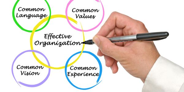Diagram showing key elements of effective organization: common language, values, vision, and experience.
