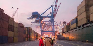 People walking in a busy shipping port with cranes and containers at dusk.