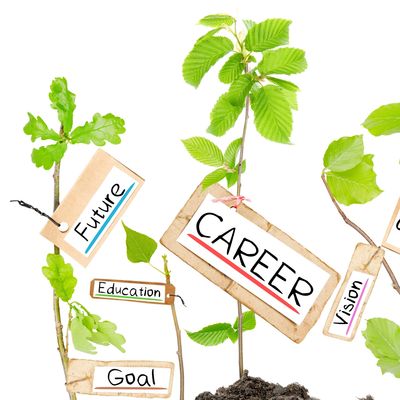 Young plants labeled with career growth concepts growing from soil.