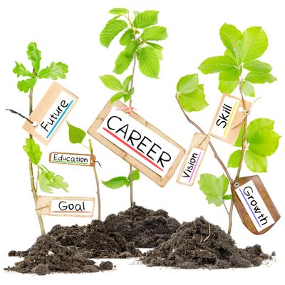 Young plants labeled with career growth concepts growing from soil.
