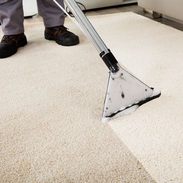 Carpet Cleaning, Carpet Cleaning Service, Clean Carpet, Industrial Cleaning
