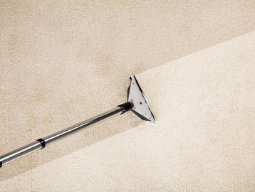 Carpet Wash
Carpet Clean
