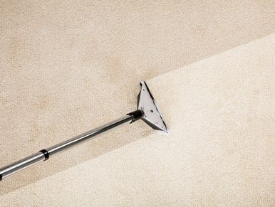 Carpet being cleaned with a steam cleaner showing a clear difference.