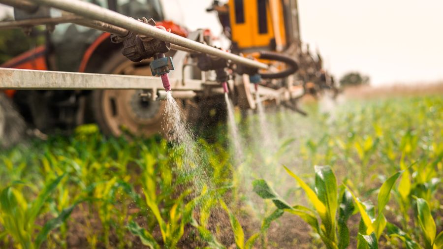 AI for Horticultural Pest and Disease Management in Australia (2026)