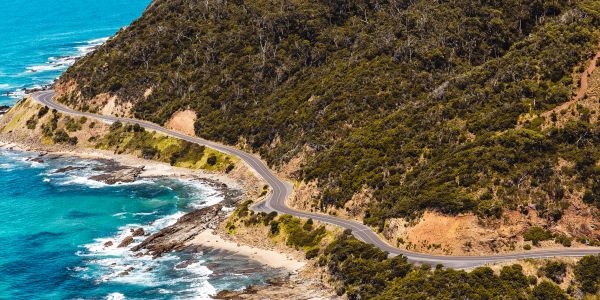 Coastal road winding along a forested hillside by the ocean.