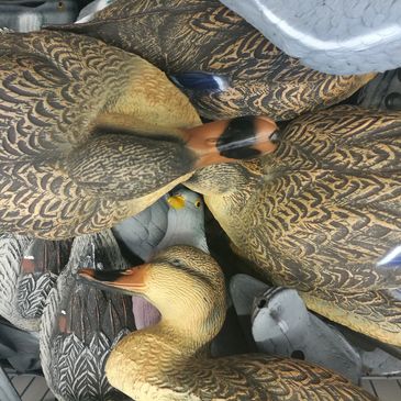 Close-up of several realistic duck decoys piled together.