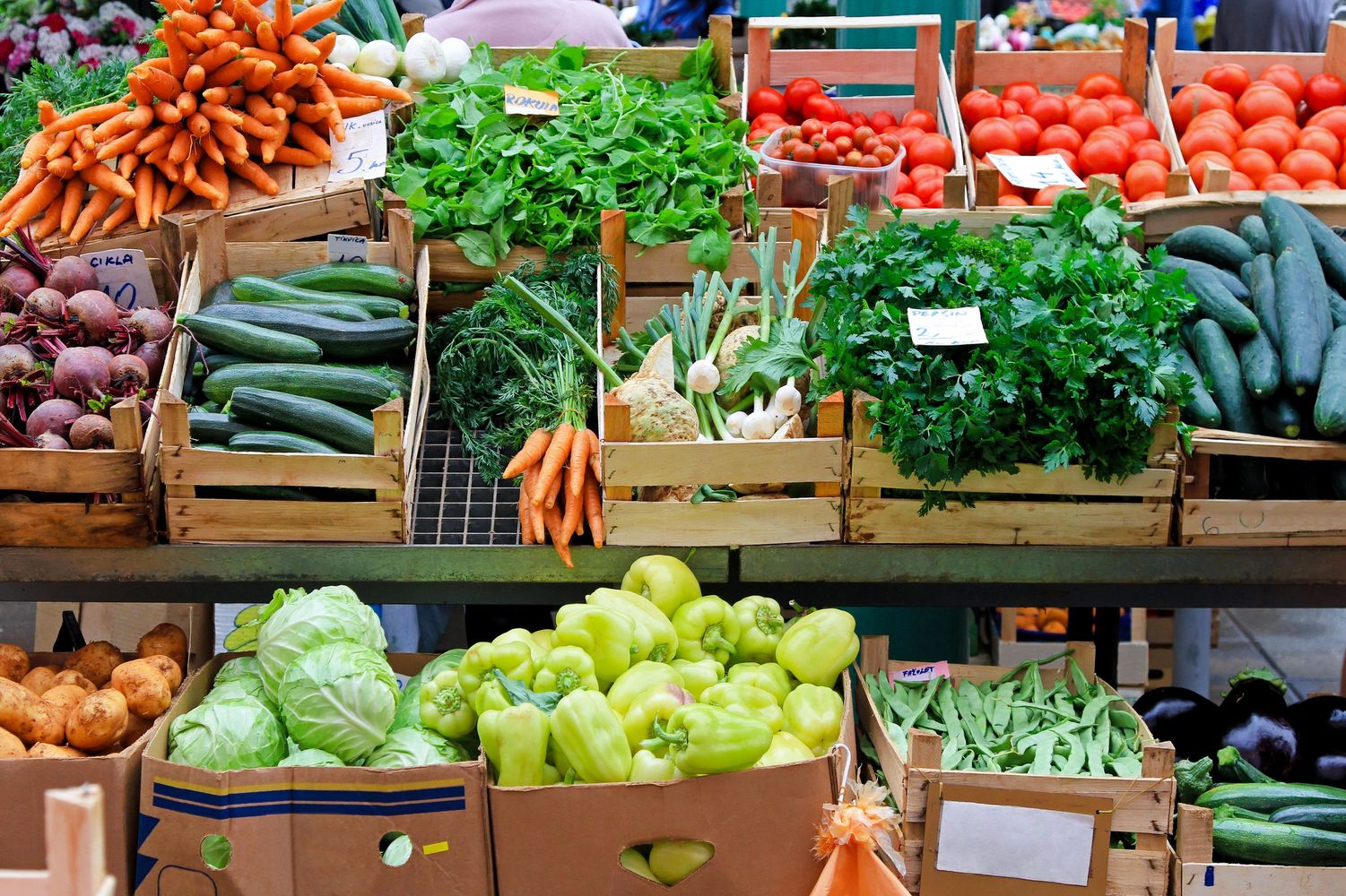 Which is the most delcious, nutritious (highest  nutrient density)?   
