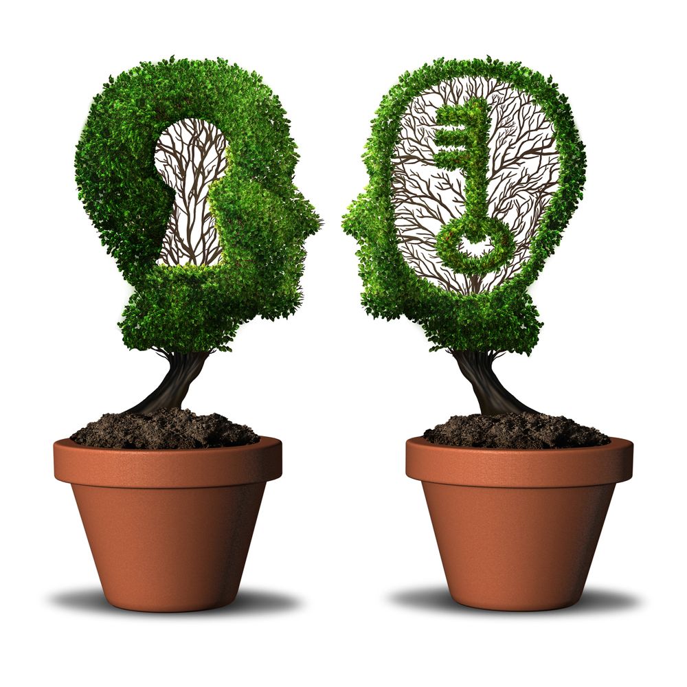 Two potted trees shaped like heads, one with a keyhole and the other with a key.