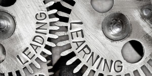 cogs of key areas of coaching delivery