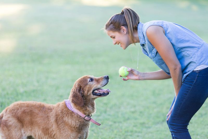 Confident woman prepares to throw a tennis ball to her dog while playing in a dog park.