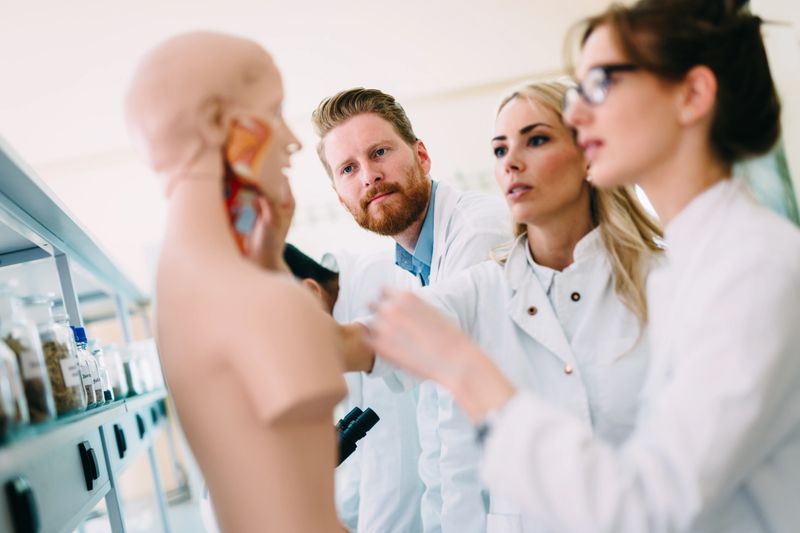 Young students of medicine examining together anatomical model in classroom