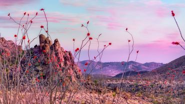 Nature's beauty at its finest!