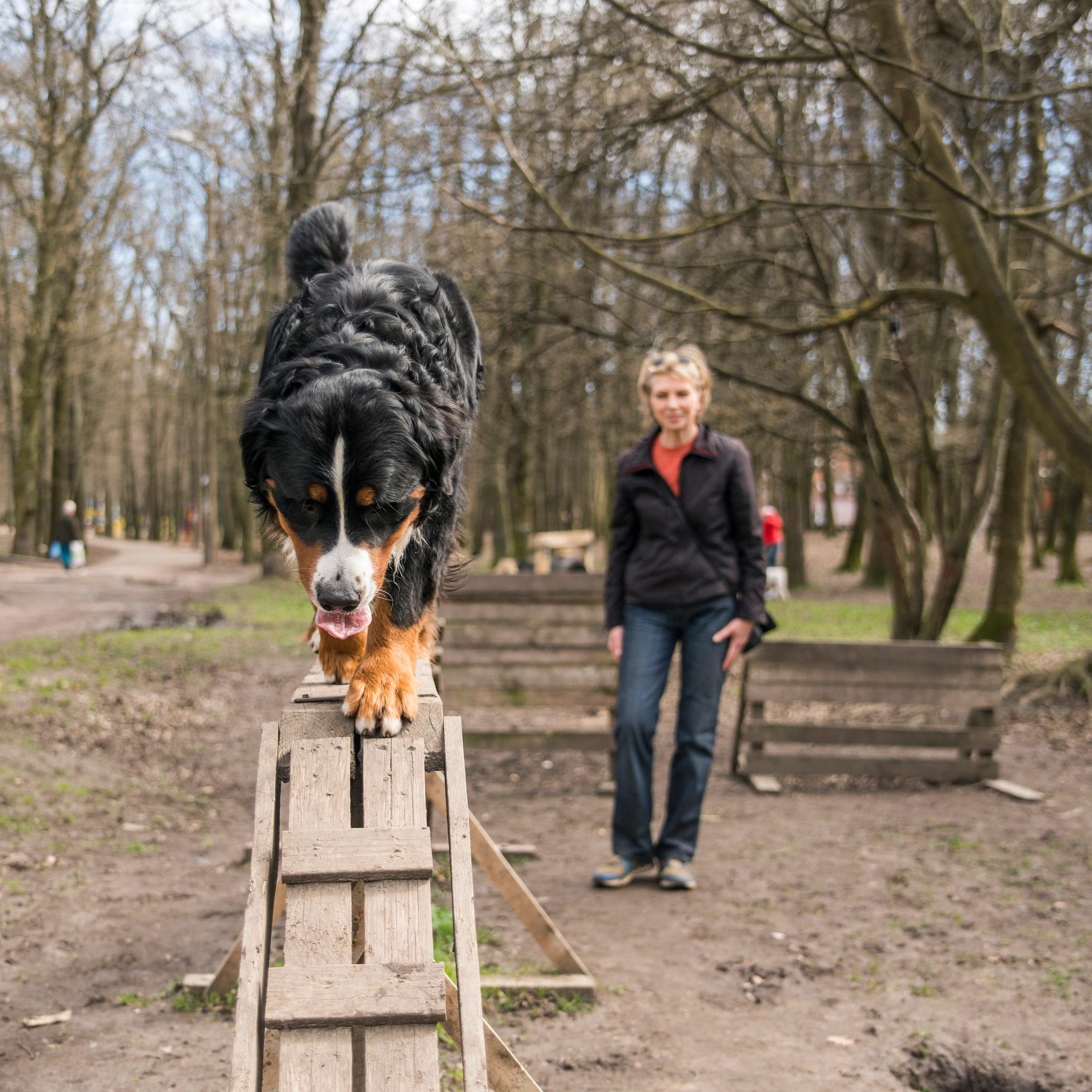 Patterson Dog Training Services
