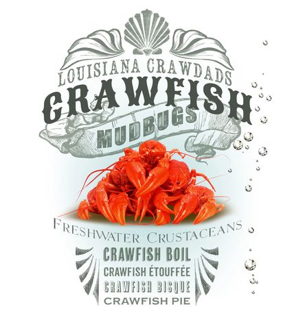 Vibrant Cajun T-Shirts & Merch.