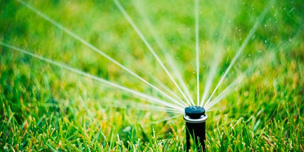 Lawn sprinkler watering green grass.