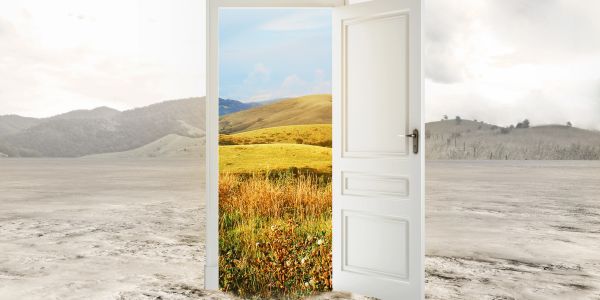 Open door revealing a vibrant landscape beyond a barren land.