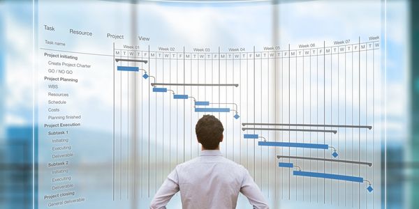Man analyzing a detailed Gantt chart for project management and planning.