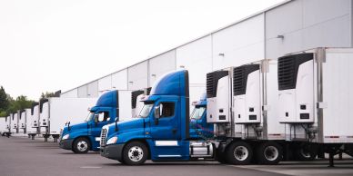 Blue trucks parked in a row beside a warehouse.