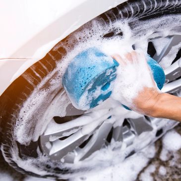 exterior and interior automotive detailing professional
