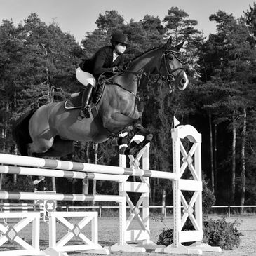 Dynamic rider and horse for autumn event.