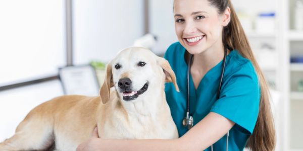 Smiling veterinarian hugging a happy dog.