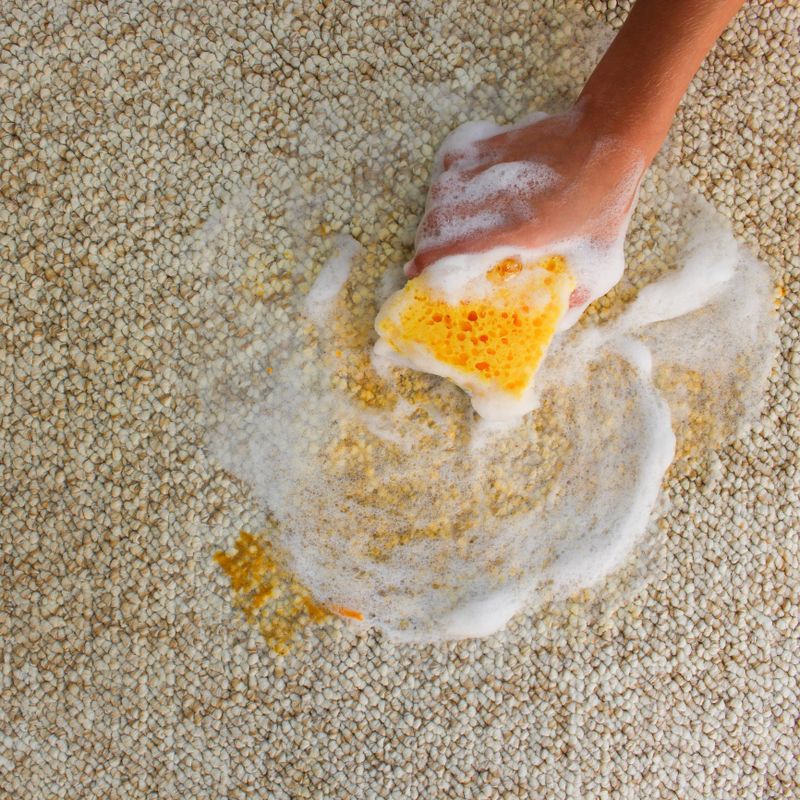 Female hand cleans the carpet with a sponge and detergent.