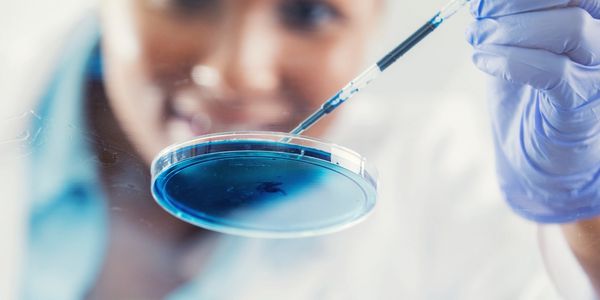 Scientist with gloves using pipette on a blue liquid in a petri dish.