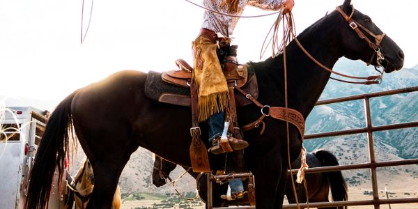 Cowboy preparing to ride a dark horse with a lasso in hand.