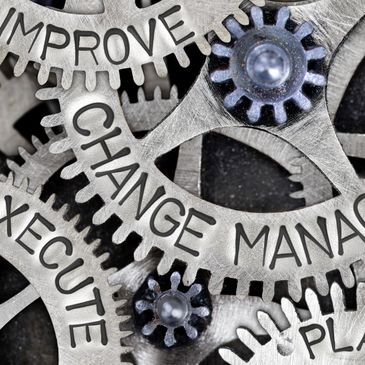 Transformation, Private Equity, PE, restructures, product, sales, leadership, EBITDA, exit