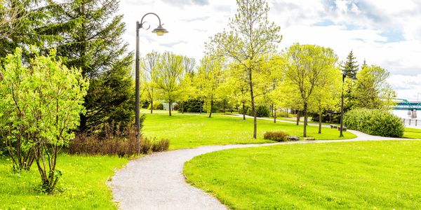 Winding path through a green park with young trees and a lamppost.