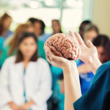 Person holding a brain model during a medical lecture.