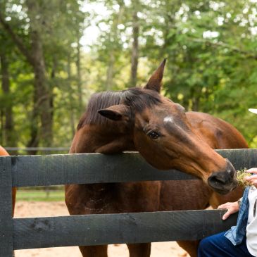 Two smiling girls with a brown horse outdoors.