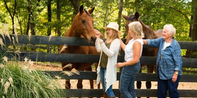 Group and team building experience at Horse & Soul Equine in Hays, KS 