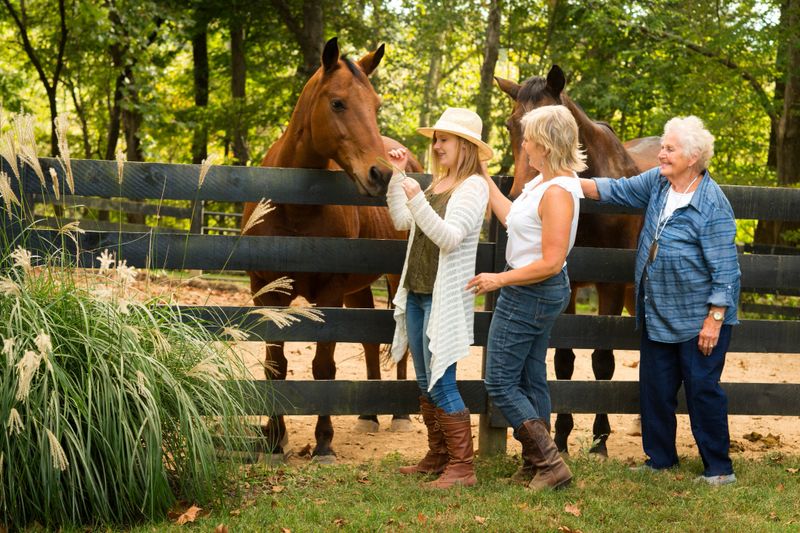 Three generation family with blond teenage daughter, mother and grandmother touching and admiring two horses behind a dark fence on a farm in Kentucky, Midwest, USA