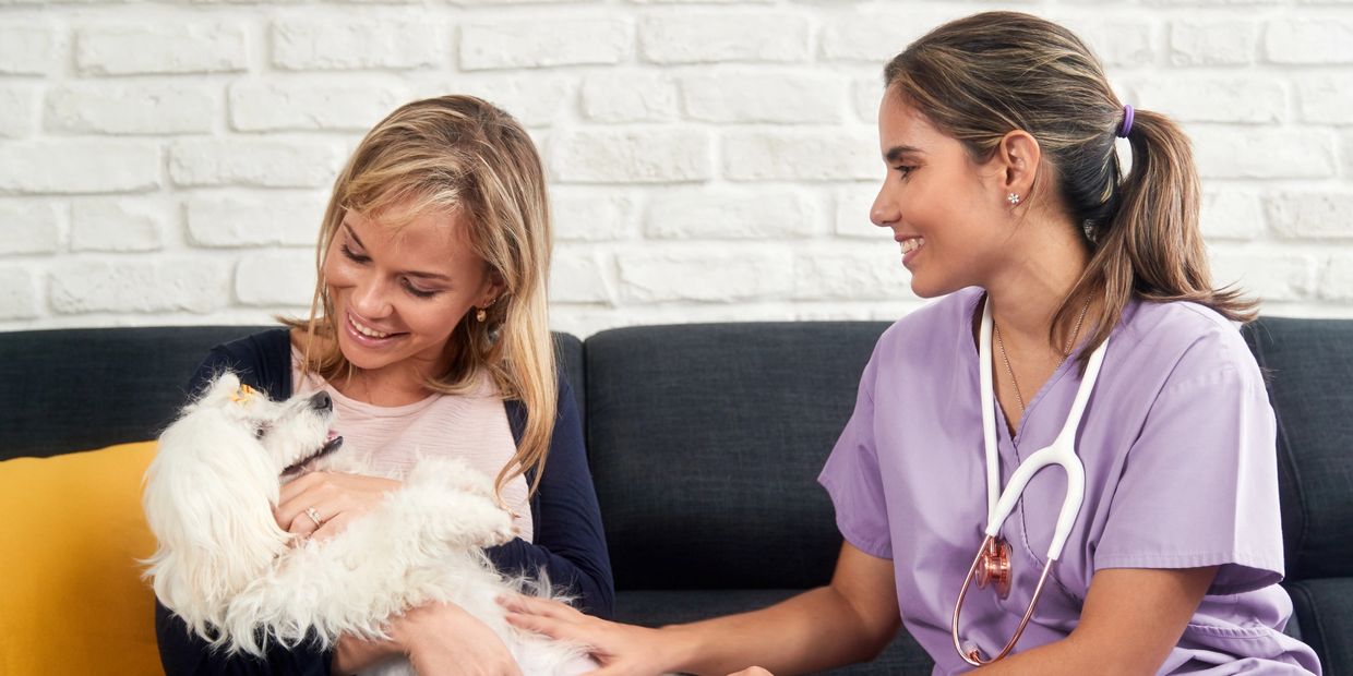 Lady and her dog on the sofa with a home visit vet
