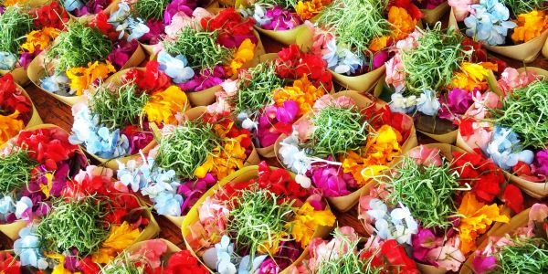 Colorful flower arrangements in small baskets.