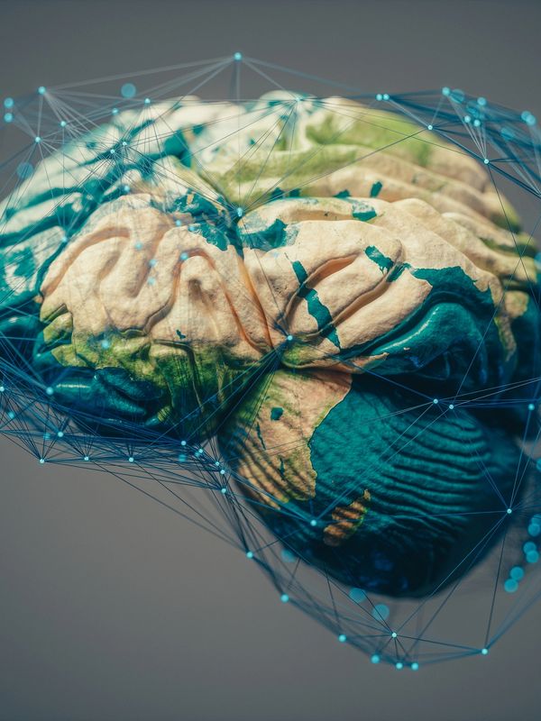 Dr Josh Flowers, spiritual enlightenment, functional neurology, Yoga, neuroscience, world