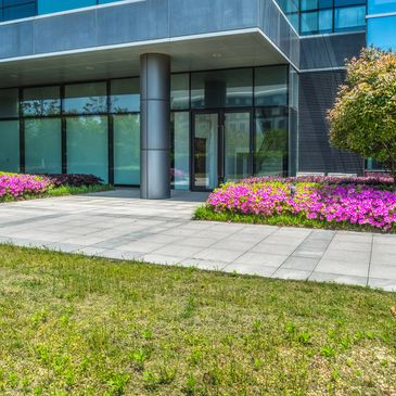 Modern building entrance with vibrant pink flowers and green trees.
