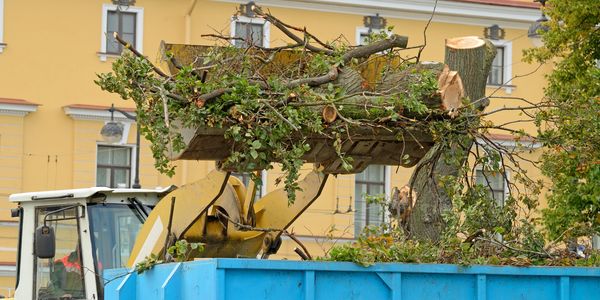Storm, flood & fire debris cleanup by BayCrest Contracting, site clearing & debris removal in Tampa
