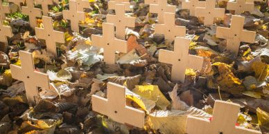 Wooden crosses on a ground covered with autumn leaves.