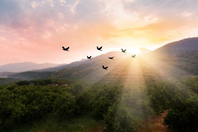 Sunset over mountains with birds flying.