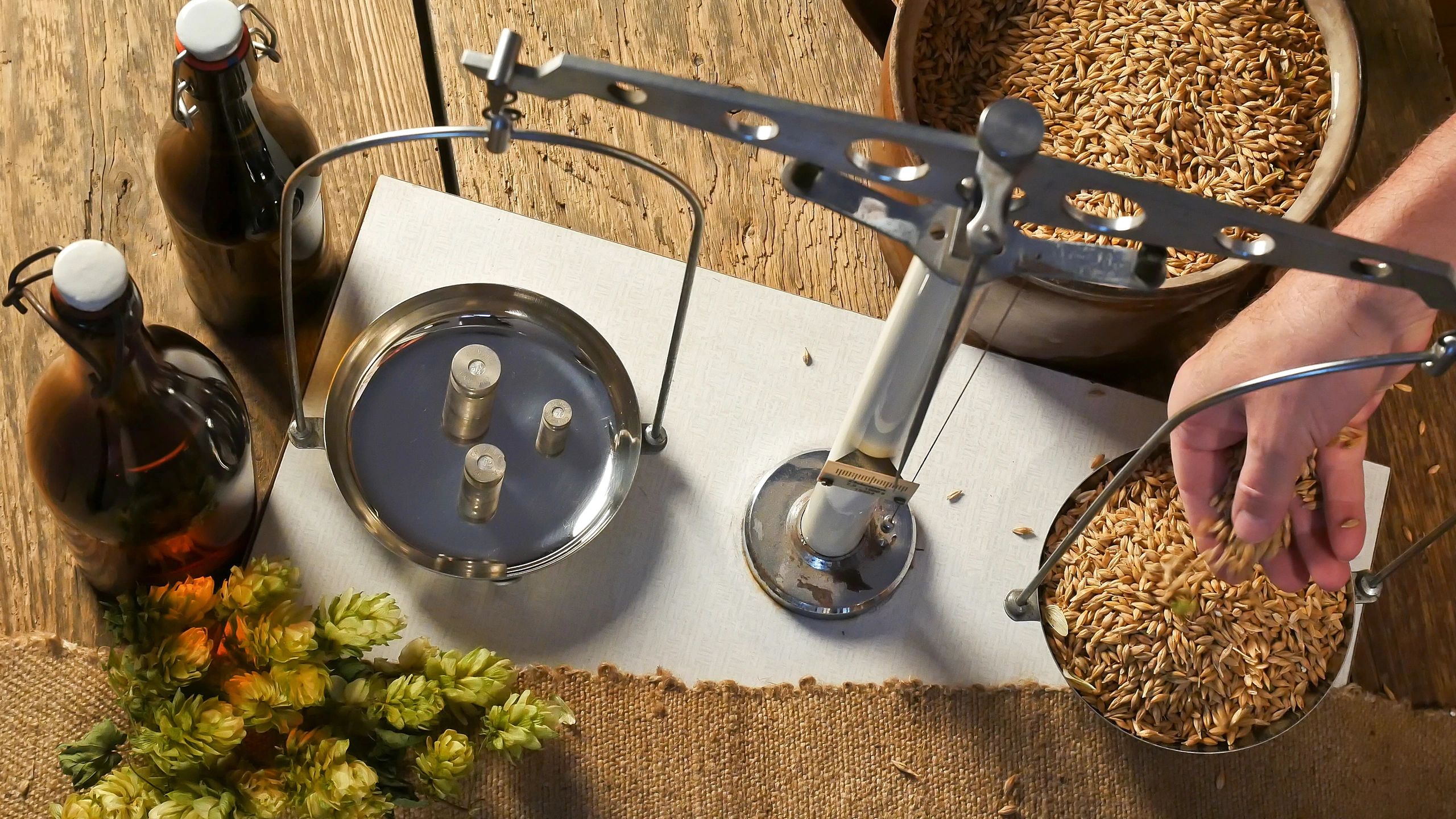 Highmark Brewery Open Graph image