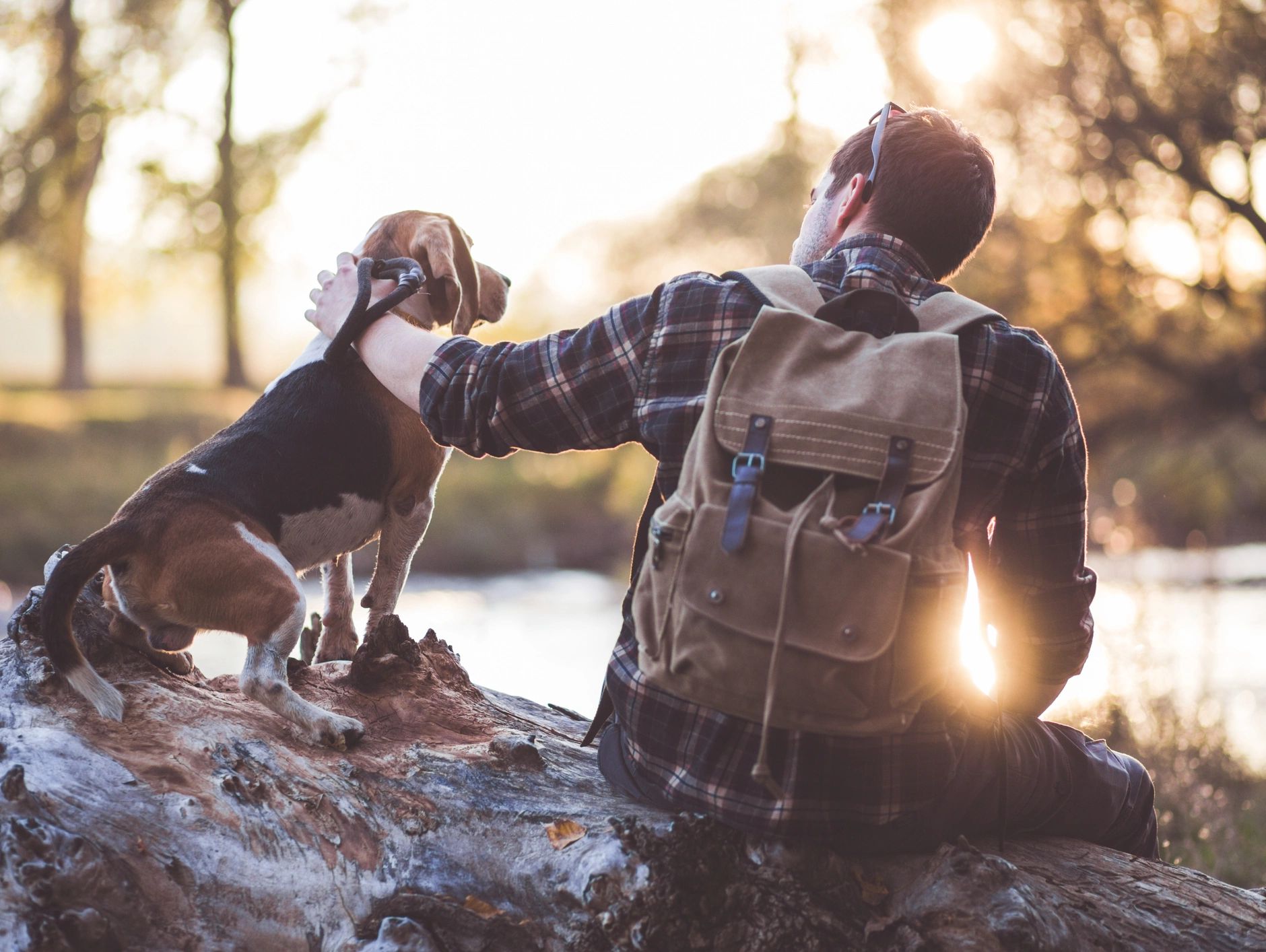 Man sitting on log near a river and petting his dog.