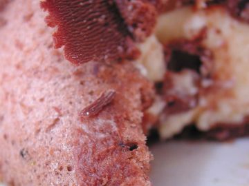 Close-up of a chocolate dessert with textured layers.