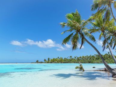 Tropical beach with palm trees and clear blue water.