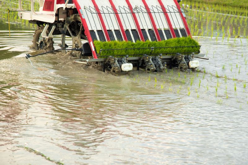 Agriculture - Rice Transplanter in filed farm