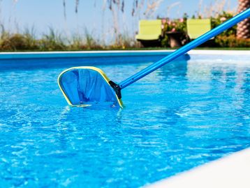 Blue pool skimmer net cleaning a clear swimming pool.